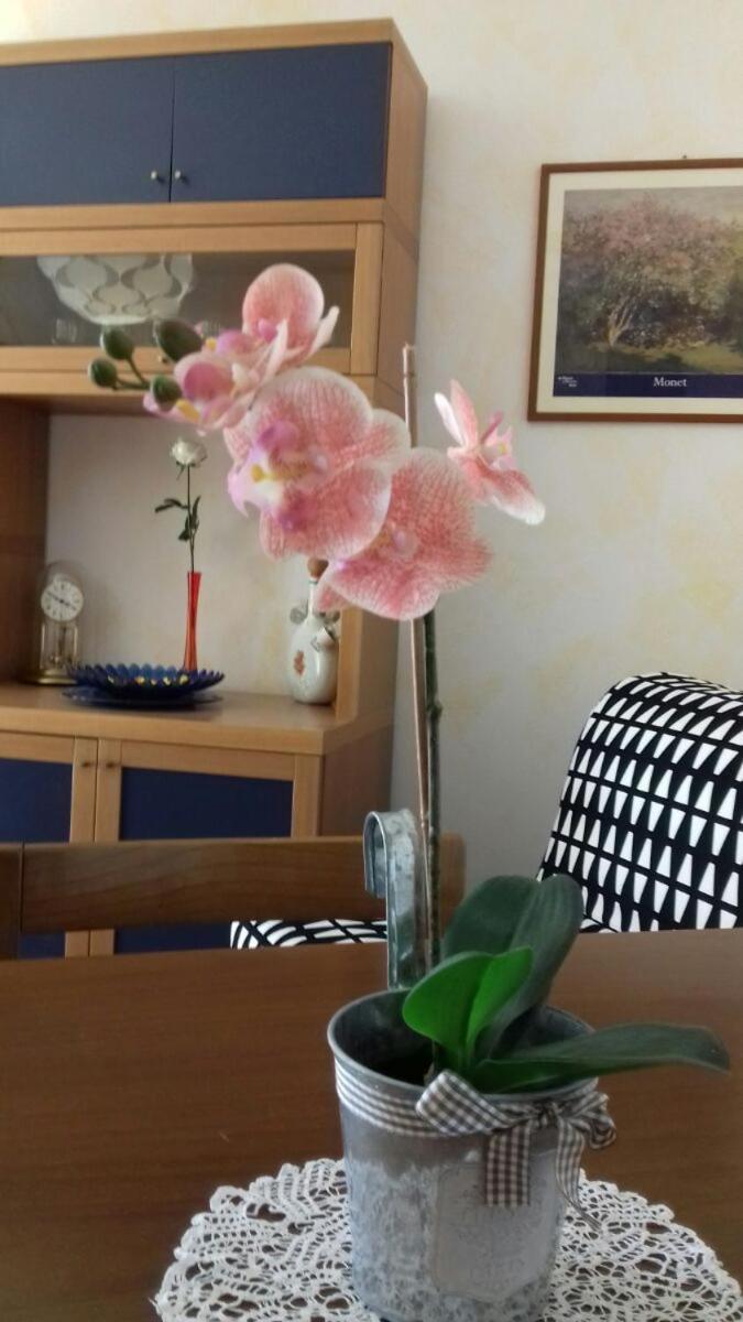 Villa Ramella بافينو المظهر الخارجي الصورة
